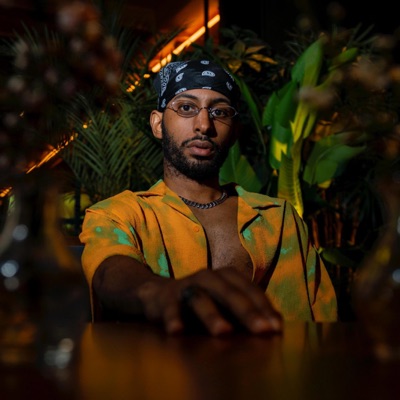 TOO MUCH (Sped Up / Slowed & Reverb) - Single