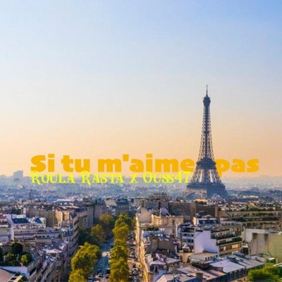 Si Tu M'aimes Pas (feat. Ouss 47) - Single