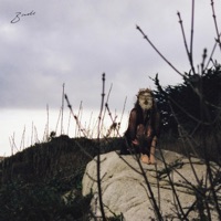 Birds - EP - Saoirse Miller