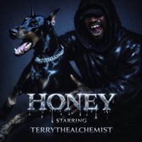 Honey (Face Down) - Single - TerryTheAlchemist