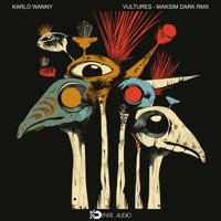 Vultures - Single - Karlo Wanny