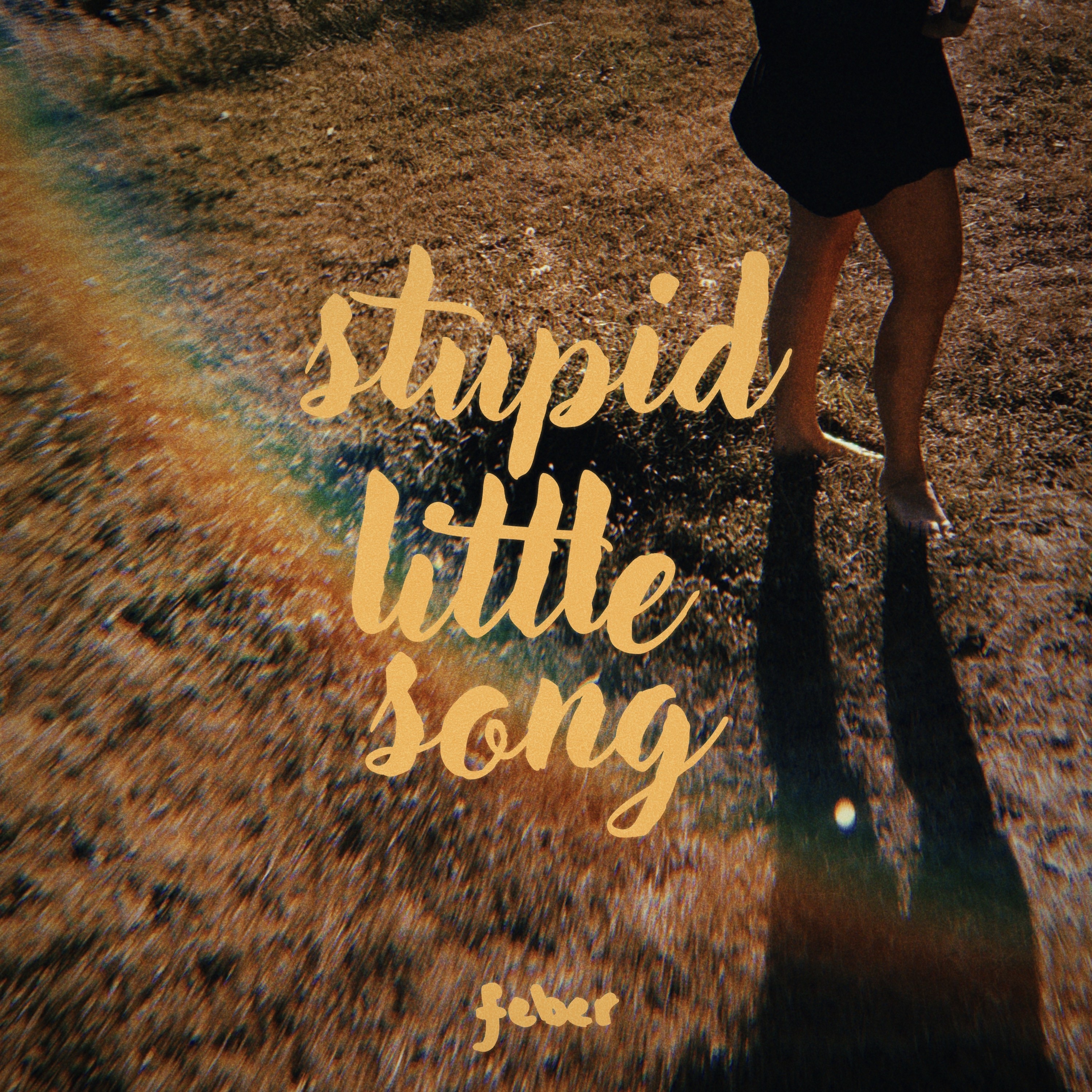 Stupid Little Song - Single