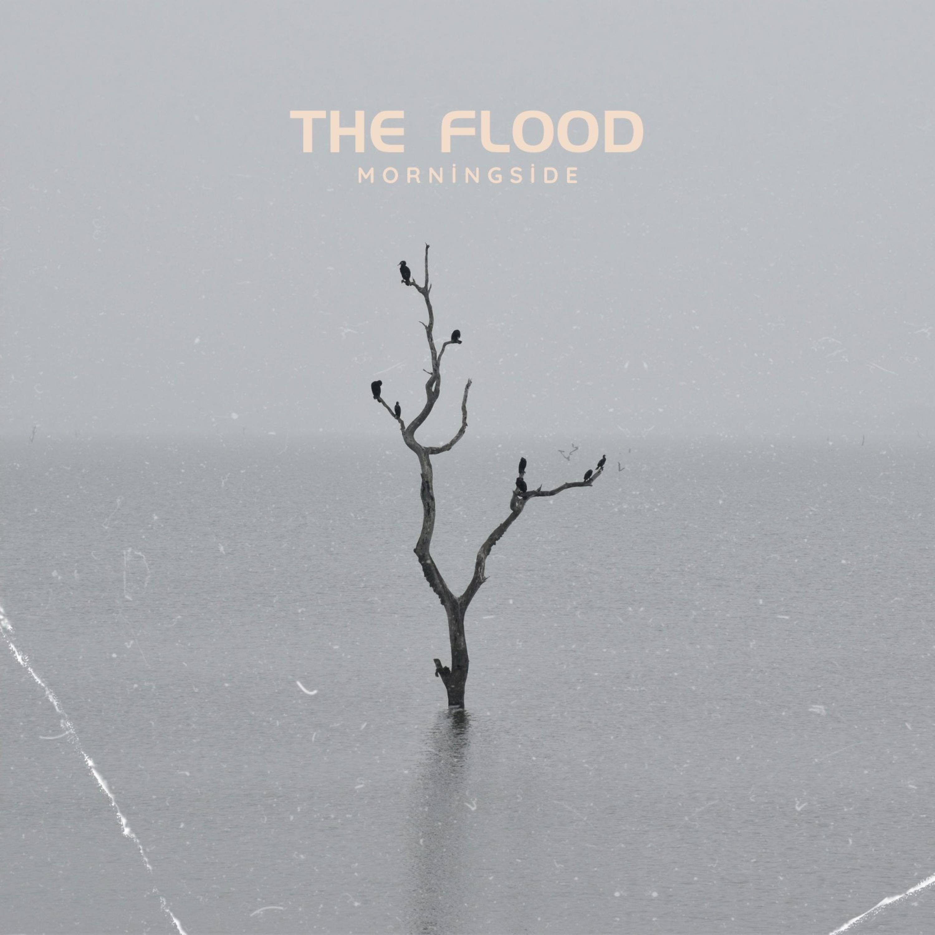 The Flood - Single