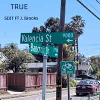 True (feat. Dj juice productions) - Single - SDJT