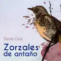 Y NO LA PUEDO OLVIDAR