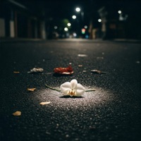 Tarde - Single - RACK