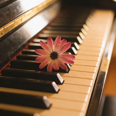Je te laisserai des mots (Instrumental Piano) - Single