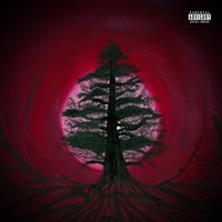 YOUSSEF - Yuri Khedz