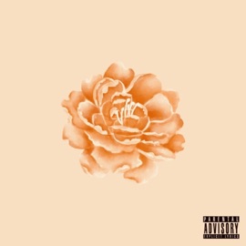 stylish PrettyBoyNito