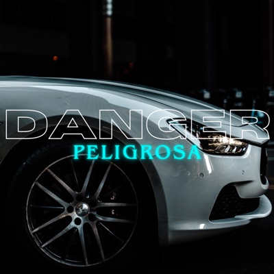 DANGER - Single