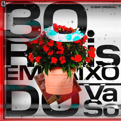 30 Reais Embaixo do Vaso - EP