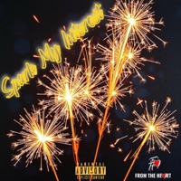 Spark My Interest (feat. Lani Flaze) - Single - MoeRoy