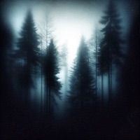 It's Sad Sometimes - Single - ZWWEXI