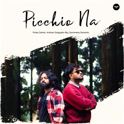 Picchio Na - Single