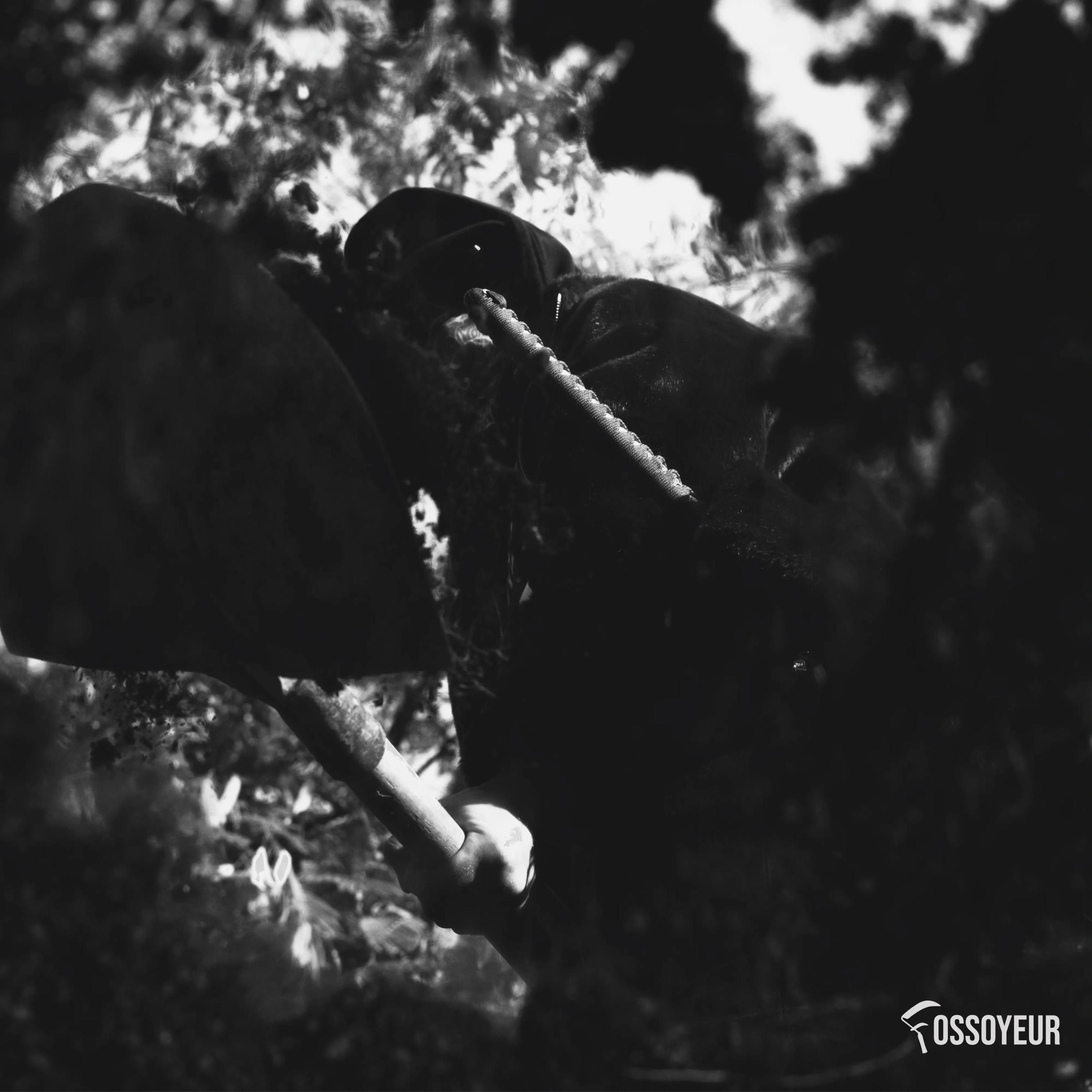 SELLO - RADIO KALIDAD FM