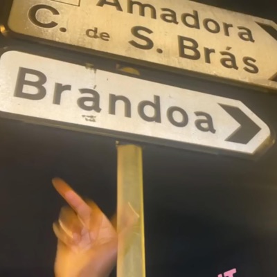 Não fiz nada - Single