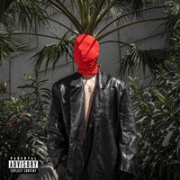 MY SOUL IS ON FIRE - Robert Wayne