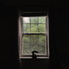 Uninvited - Francis Doom