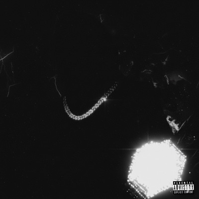 GEEKIN 4 LAST TIME - Single