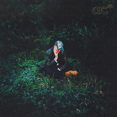 Wendy (feat. KÅ) - Single