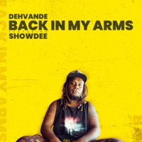 Back in My Arms (feat. Showdee) - Single - Dehvande