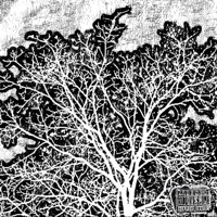 GRINDN FOR THE VIEW (southsidesilhouette) - Single - ríosderoma