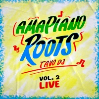 Amapiano Roots, Vol. 2 (Live) - EP - Tavo DJ
