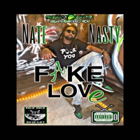 Fake Love - Single - Nate Nasty
