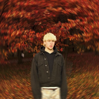 Värii sun harmauteen - Single