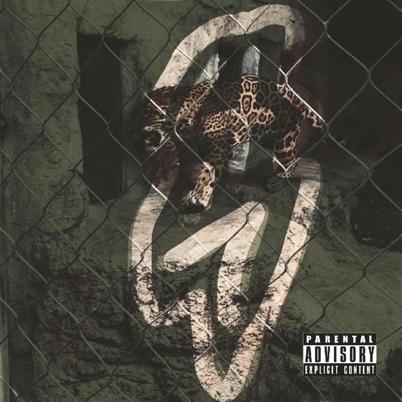 Strays (Graced Tape) - EP