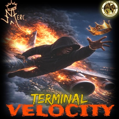 Terminal Velocity