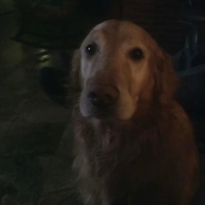 Bite me - Single