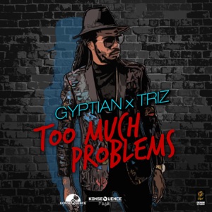 Too Much Problems - Single