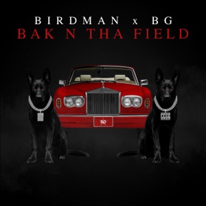 BAK N THA FIELD