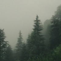 Still Need You - Single - Ivan B & Staarz