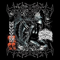 NOXIOUS NATURES (feat. Cessir) - Single - Deadbloomer, Salem Stakes & Big Melancholy