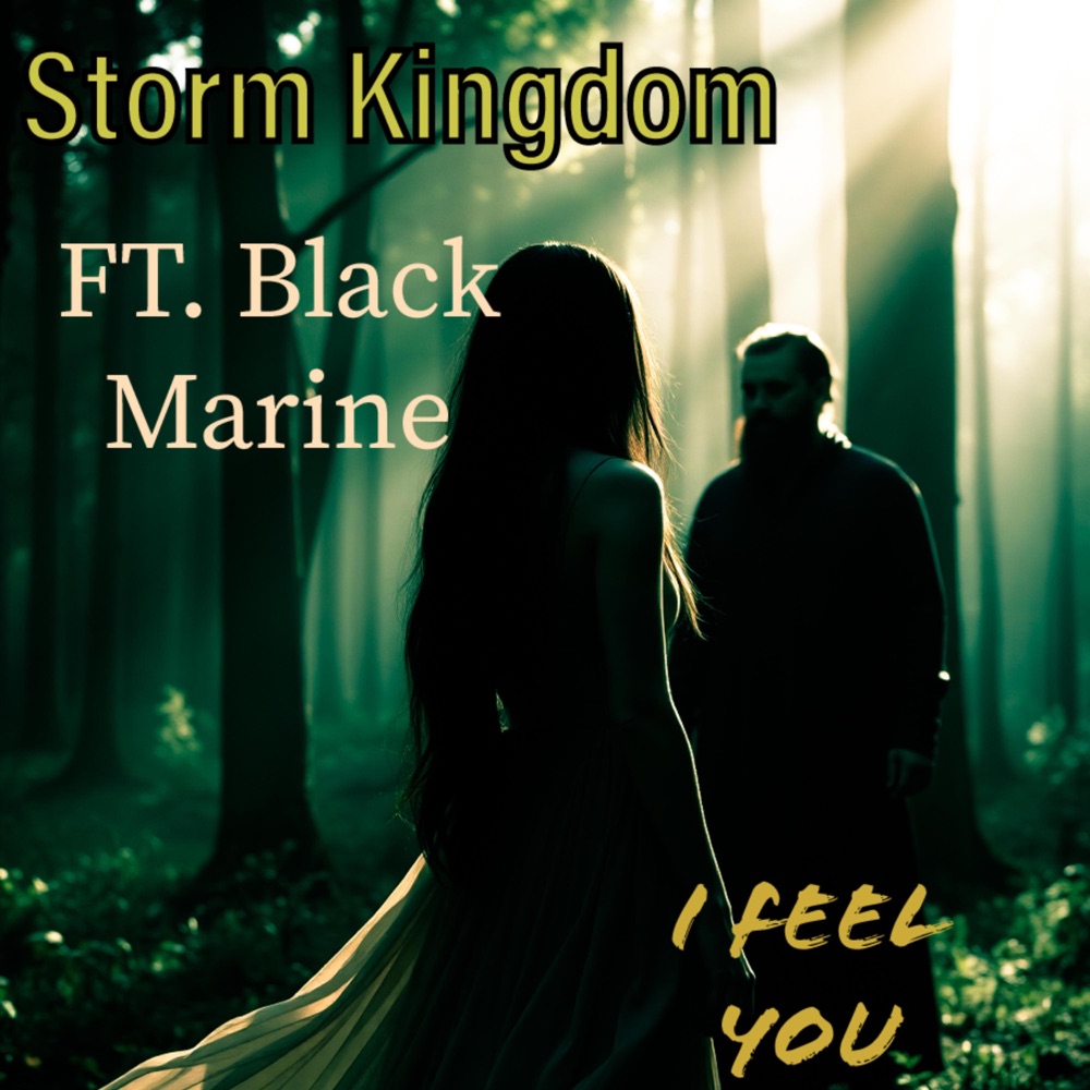 Обложка альбома «I Feel You (feat. Black Marine) - Single» — Storm Kingdom