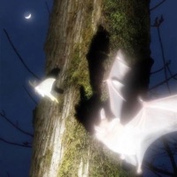 Mac & Ariana - Single - Indigo 13