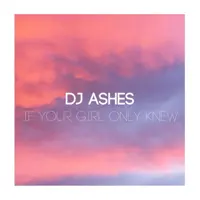 If Your Girl Only Knew — Dj Ashes