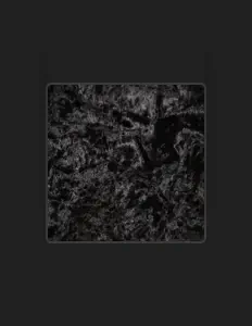 收听 4wayty、观看音乐视频、阅读小传、查看巡演日期等 ！