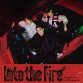 Into the Fire artwork