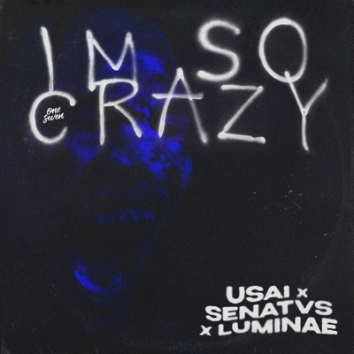 I'm So Crazy - Single