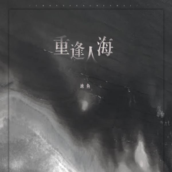 Meet again - Single