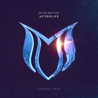 Afterlife - Single - Peter Miethig