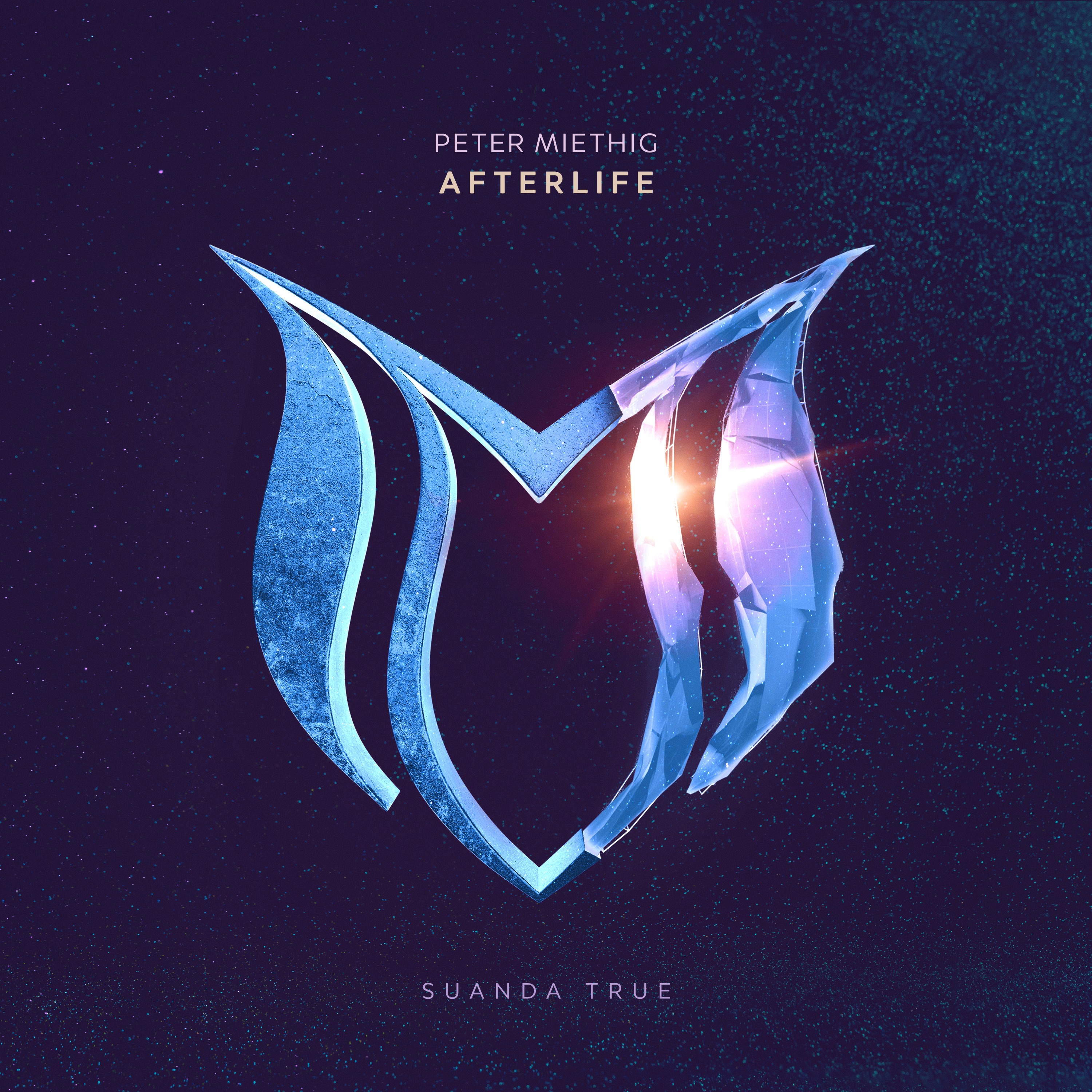Afterlife - Single