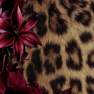 eds bday (Daddy's Birthday remix) - Single