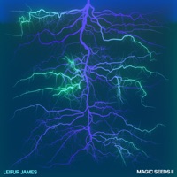 Magic Seeds II - Leifur James