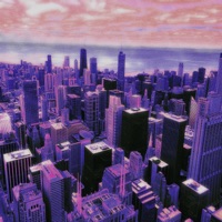 toast - Single - Trillium