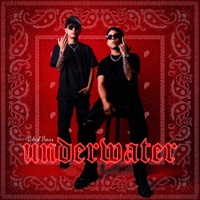 Underwater - Single - Black Bears