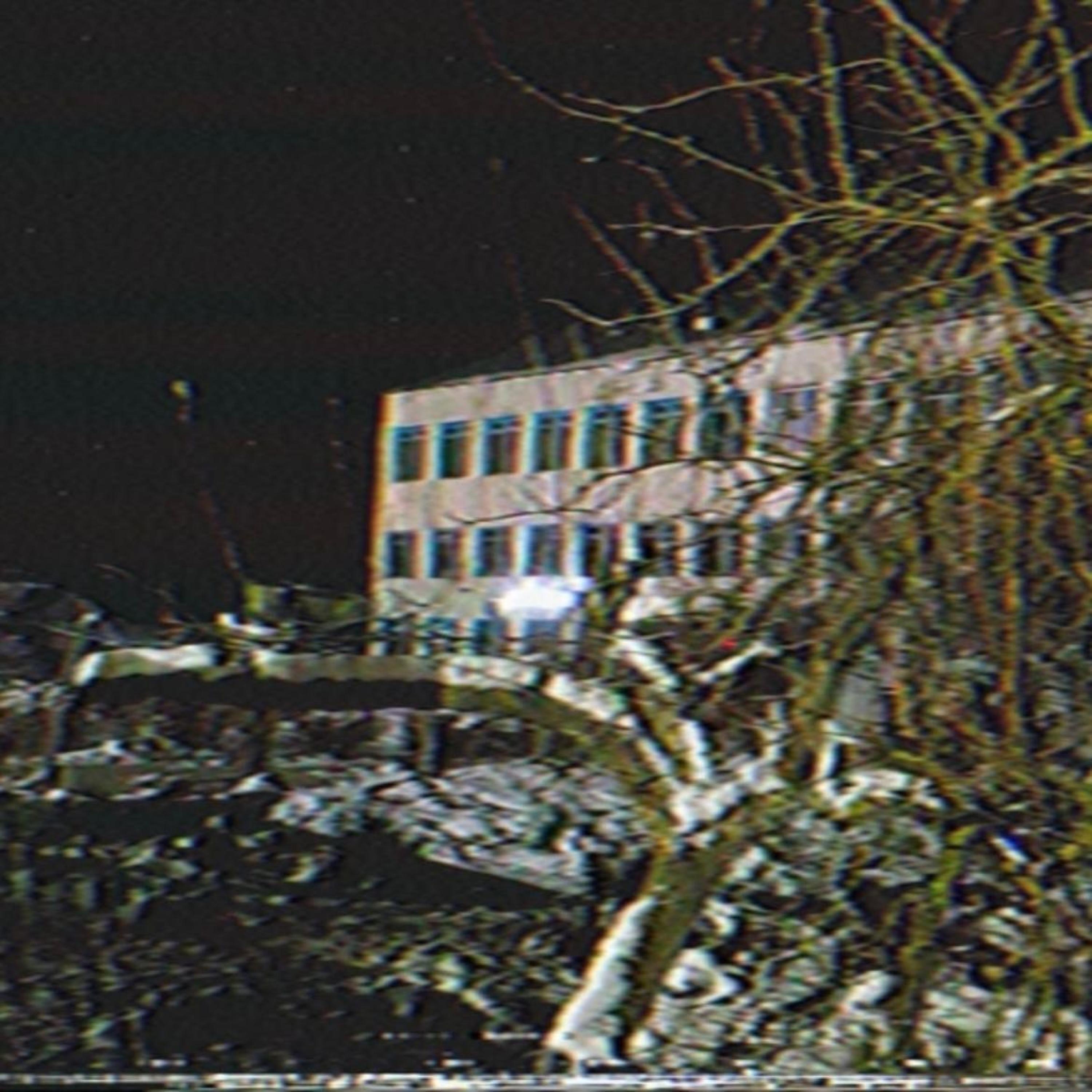 all time low - Single